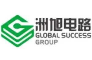 Global Success Circuits
