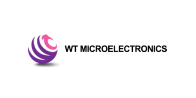  WT Microelectronics Co., Ltd.