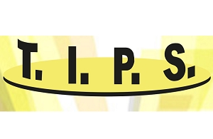 T.I.P.S. Messtechnik GmbH