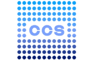 Custom Chip Solutions