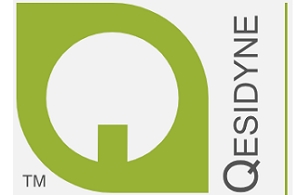 Qesidyne Inc